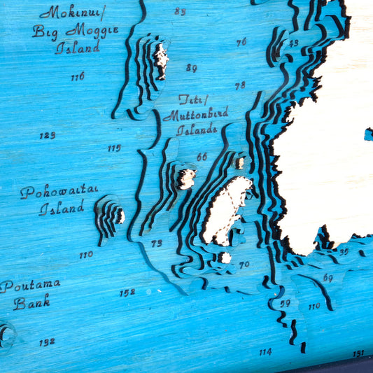 Stewart Island / Rakiura Lge 79 x 63