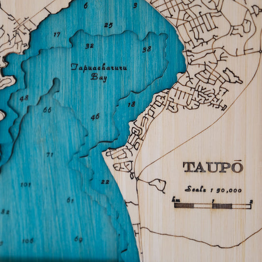 Taupō / Tapuaeharuru Bay Sml 30 x 38