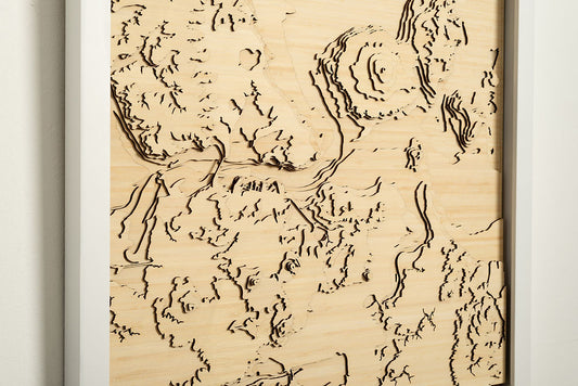 Waitemata laid Bare Lge 79 x 63