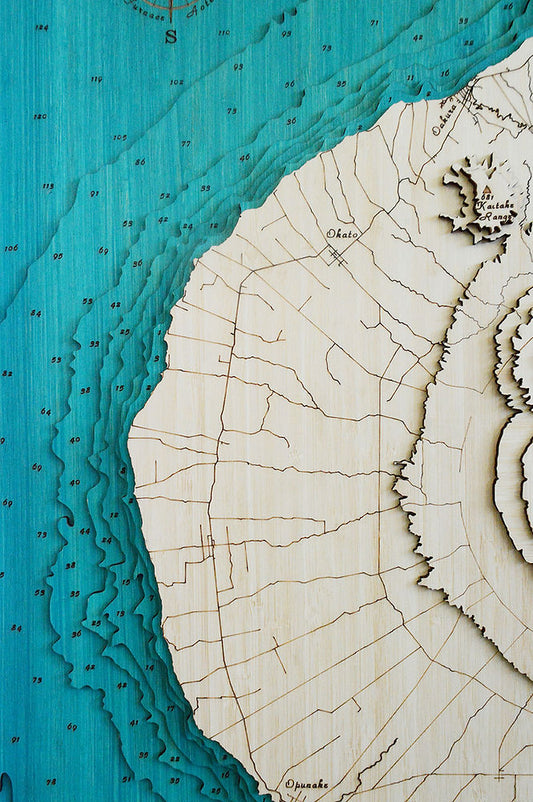 Taranaki Lge 79 x 63