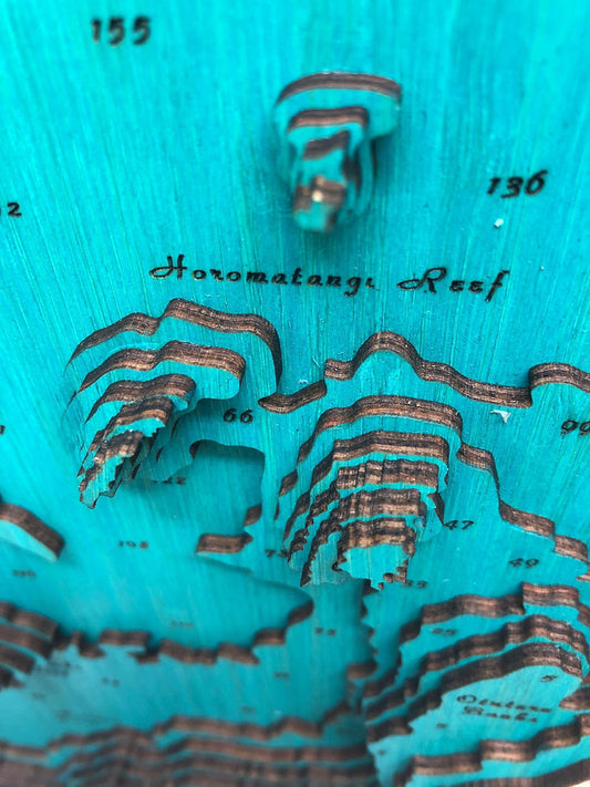 Lake Taupō Lge 79 x 63