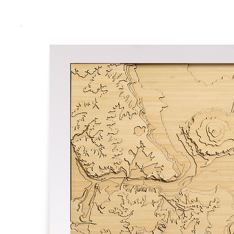 Waitemata laid Bare Lge 79 x 63