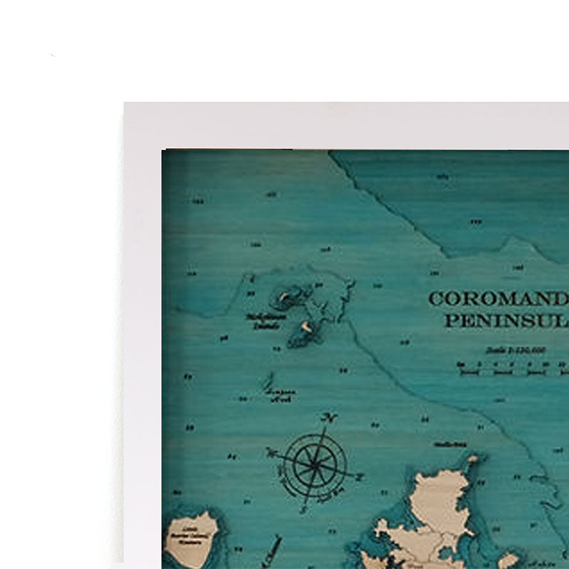 Coromandel Peninsula Lge Long 100 x 40